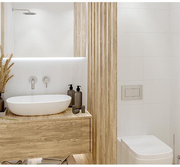 Kupi Blanco Mat 30x60 R / Cena v trgovini Vsebo